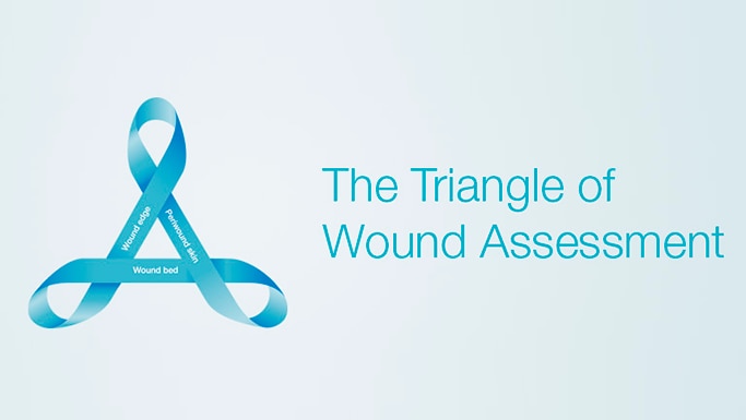 The Triangle of Wound Assessment